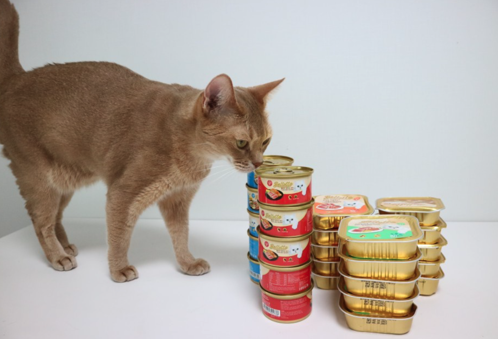고양이 습식사료 캔 벨로타 리얼미트 급여후기 – 멜비